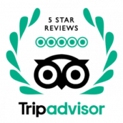 tripadvisor5*reviews