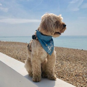 October 2025 UK seaside holidays