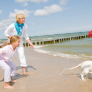 dog friendly beach house holidays west sussex