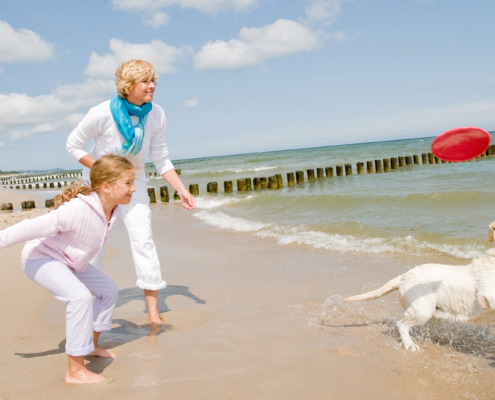 dog friendly beach house holidays west sussex
