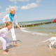 dog friendly beach house holidays west sussex